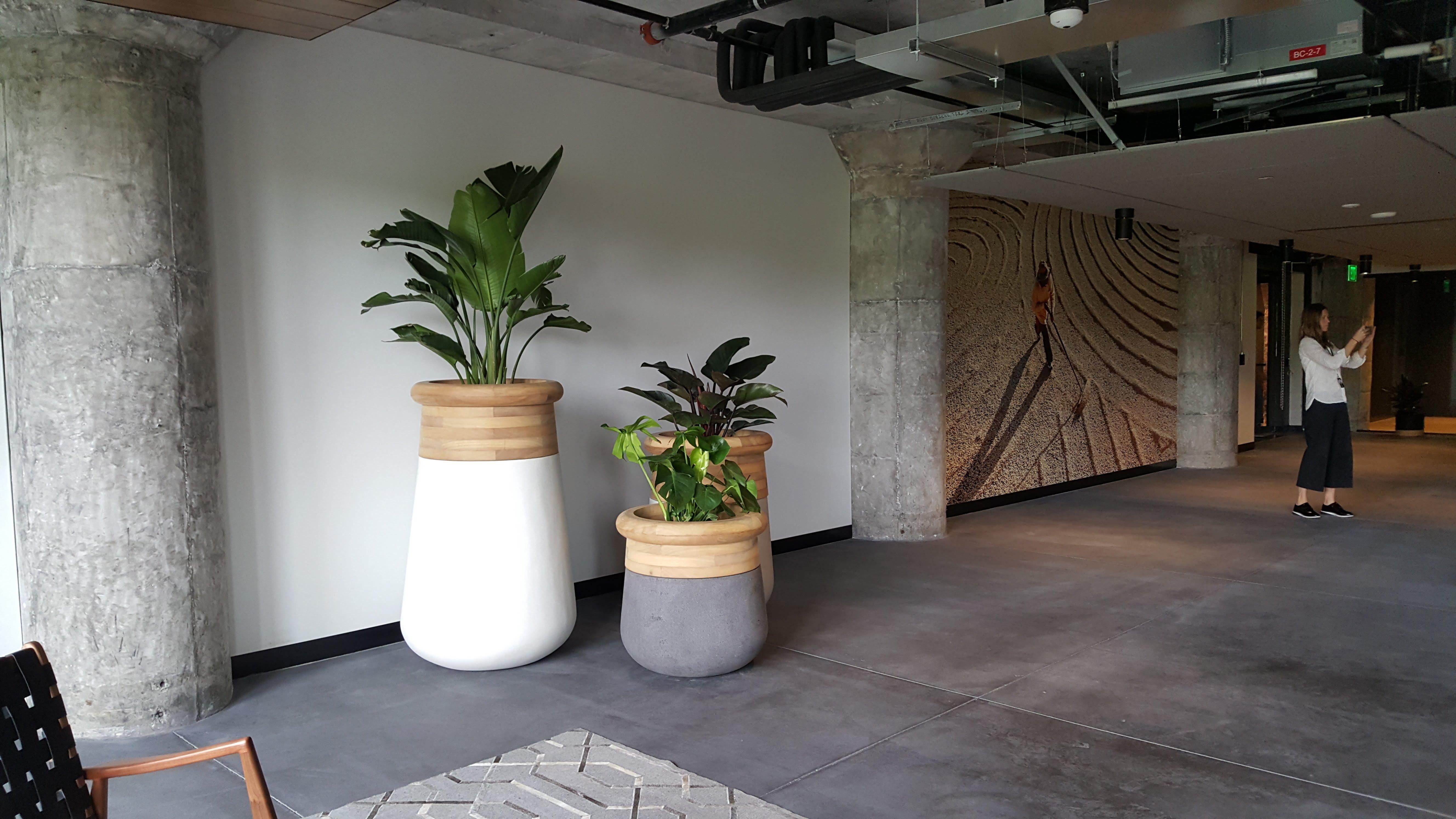 Huilé Jardinière Soma Slim en bois huilé et en grès par Indigenus en vente
