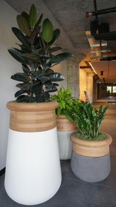 Soma Slim Oiled Wood And White Stone Planter by Indigenus