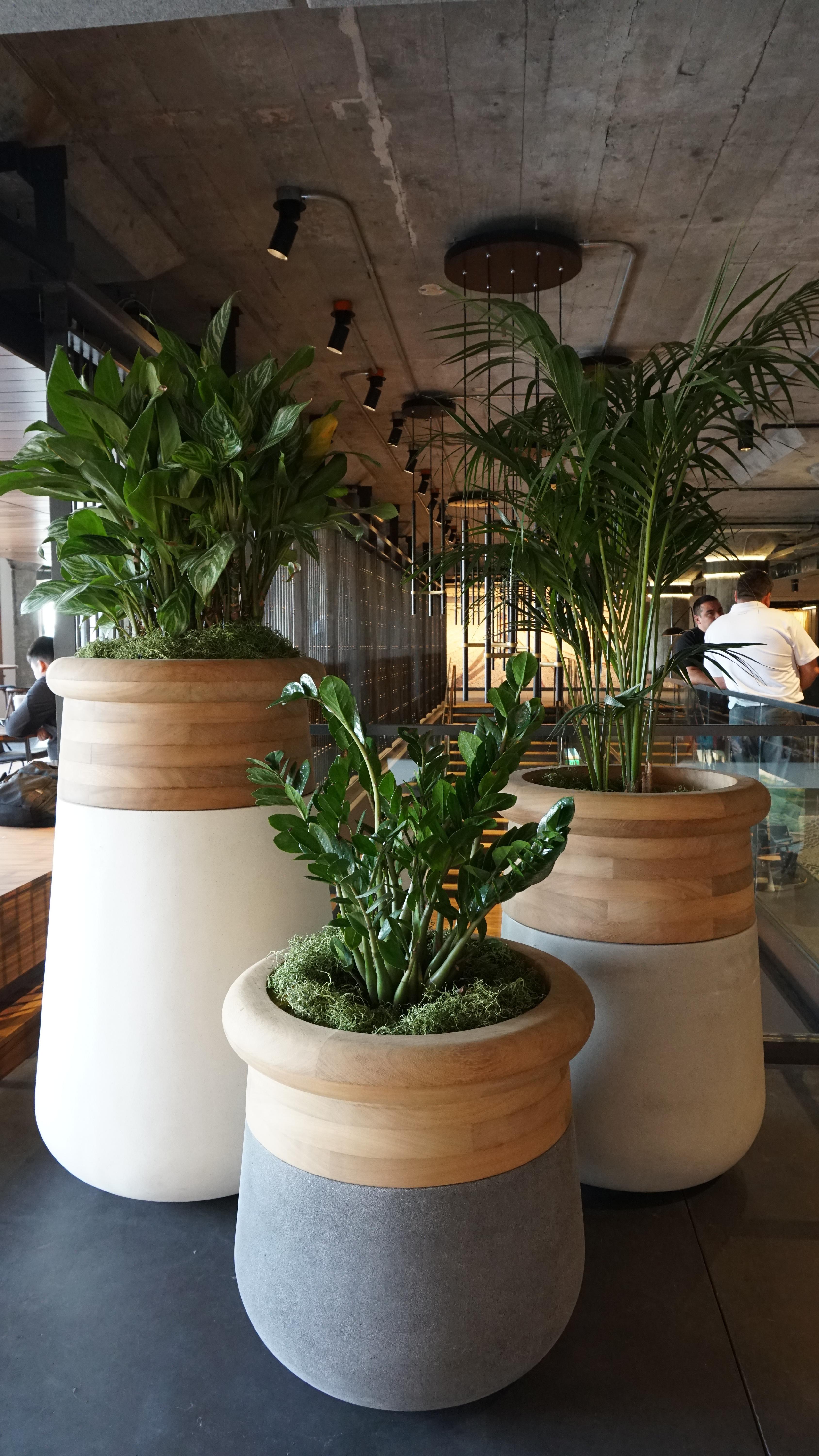 Post-Modern Soma Slim XS Natural Wood And Brown Stone Planter by Indigenus For Sale
