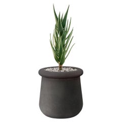 Soma Petite jardinière en pierre noire d'Indigenus