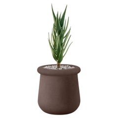 Fioriera Soma Small Brown Stone di Indigenus