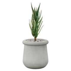 Soma Petite jardinière en pierre grise d'Indigenus