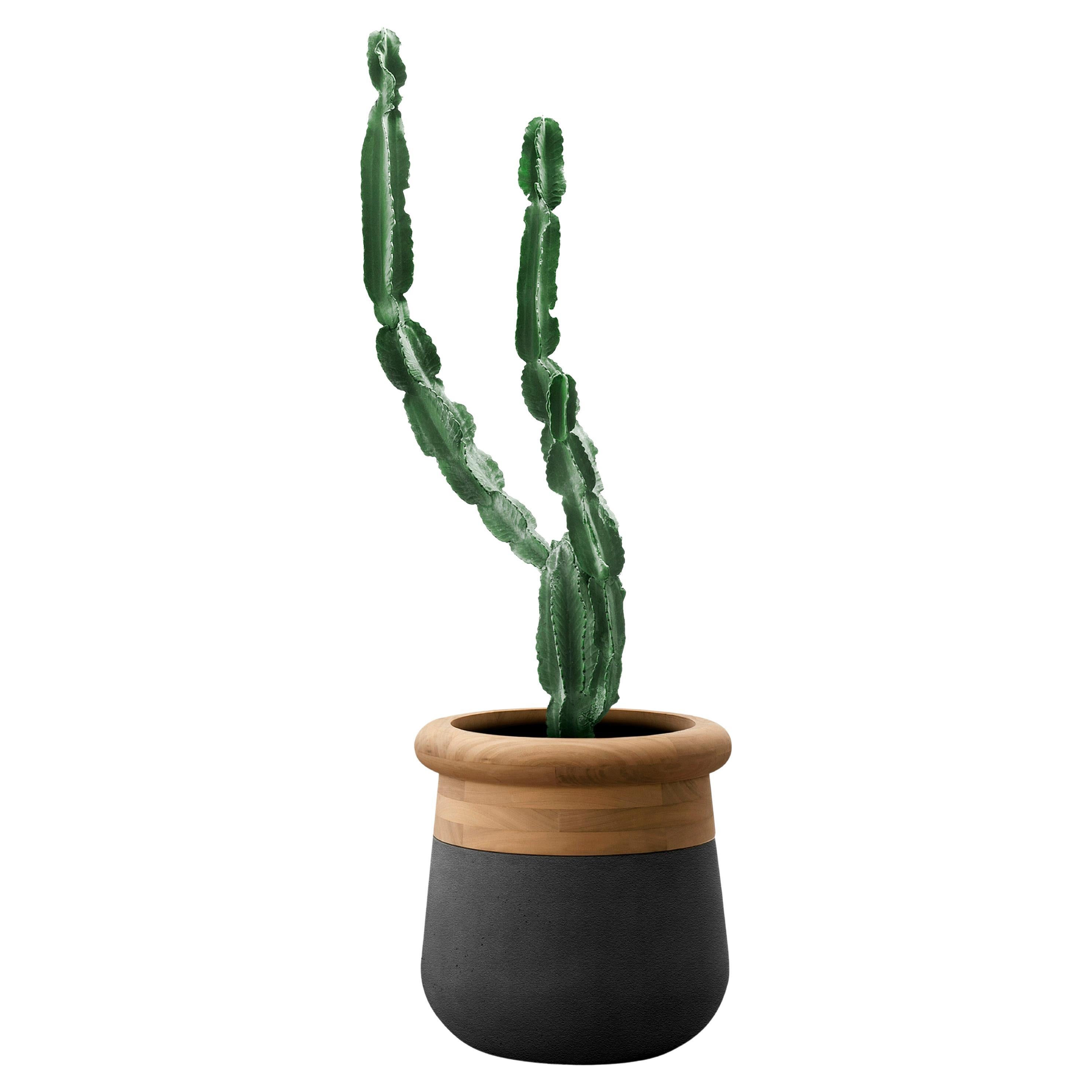 Soma Small Oiled Wood And Black Stone Planter by Indigenus