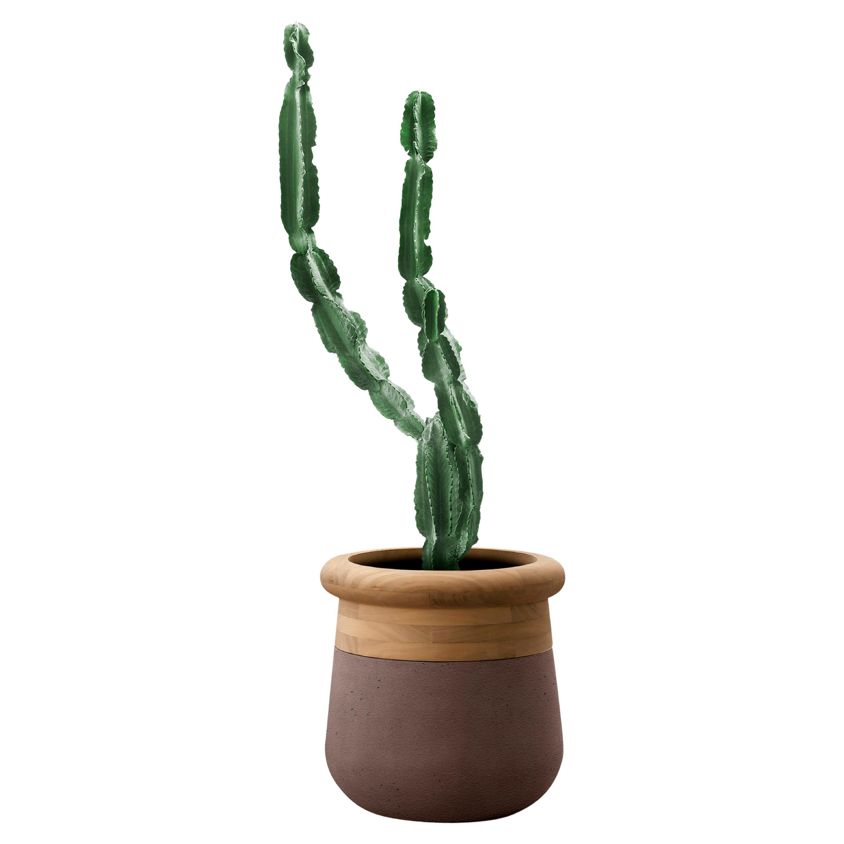 Soma Small Oiled Wood And Brown Stone Planter by Indigenus