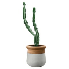 Petite jardinière Soma en bois huilé et pierre grise d'Ingénus
