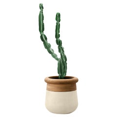 Petite jardinière Soma en bois huilé et grès par Indigenus