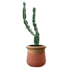 Petite jardinière Soma en bois huilé et pierre de terre cuite d'Ingénus