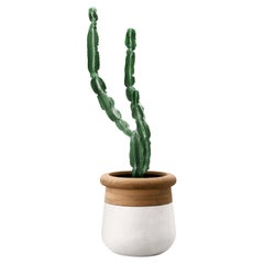 Jardinera pequeña de madera aceitada y piedra blanca Soma de Indigenus