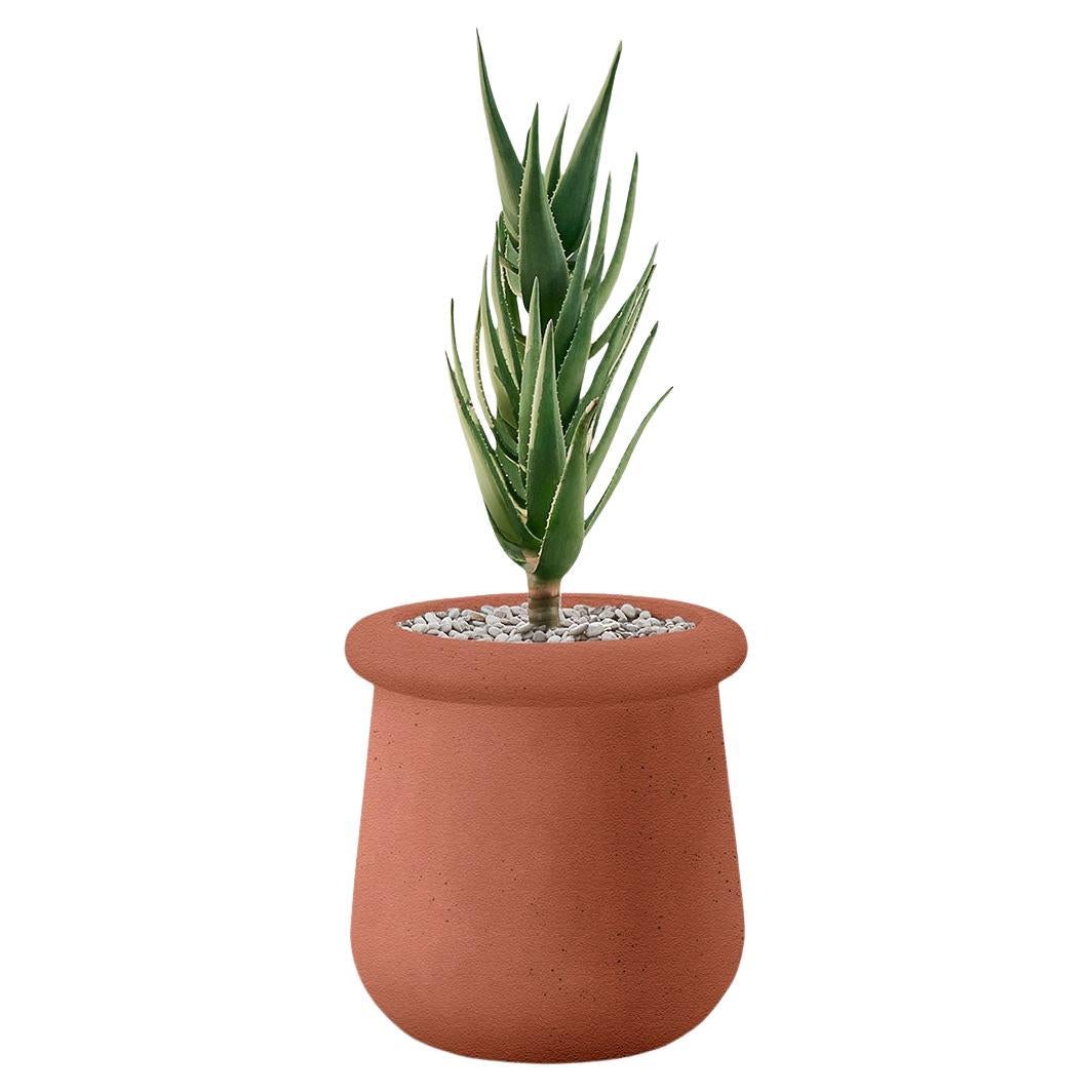 Soma Small Terracotta Planter by Indigenus