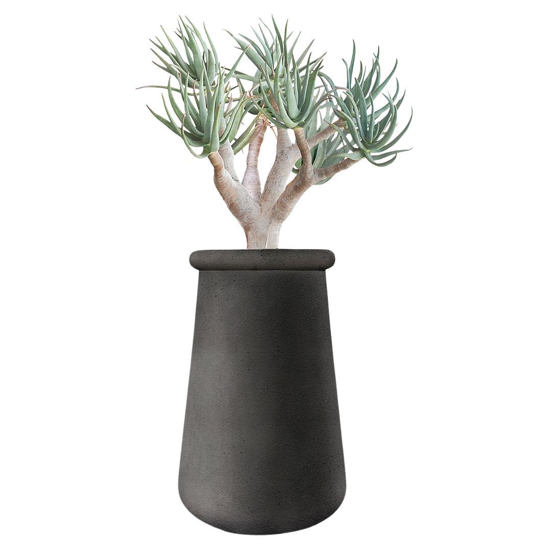 Soma Tall Black Stone Planter by Indigenus