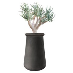 Soma Tall Black Stone Planter by Indigenus