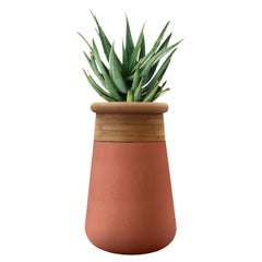 Soma Tall Oiled Wood and Terracotta Stone Planter by Indigenus (en anglais)