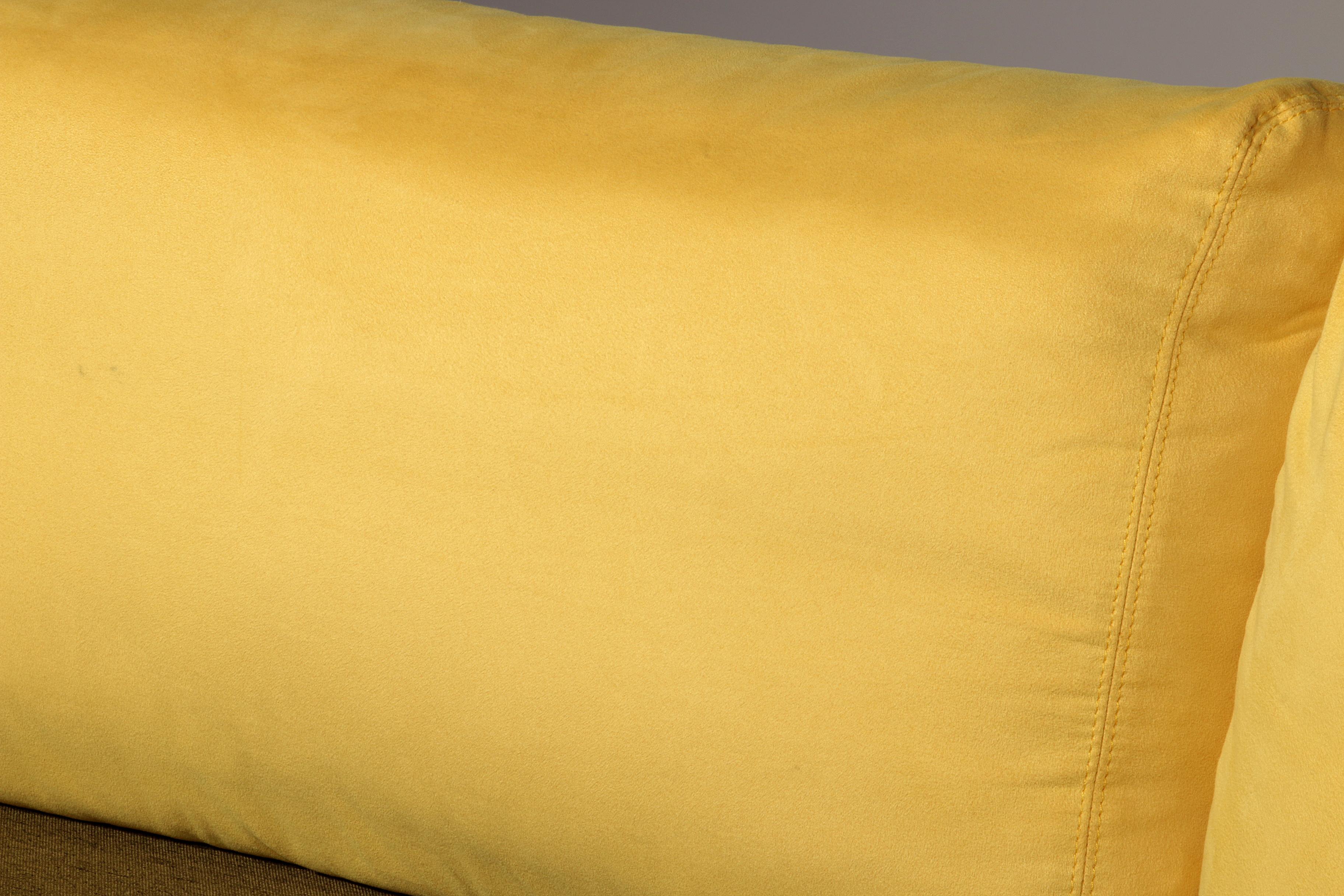 Somaschini x Dainelli Studio – Vintage Two-Seater Sofa in Lime & Maize Yellow For Sale 5
