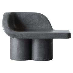 Parfois un éléphant noir