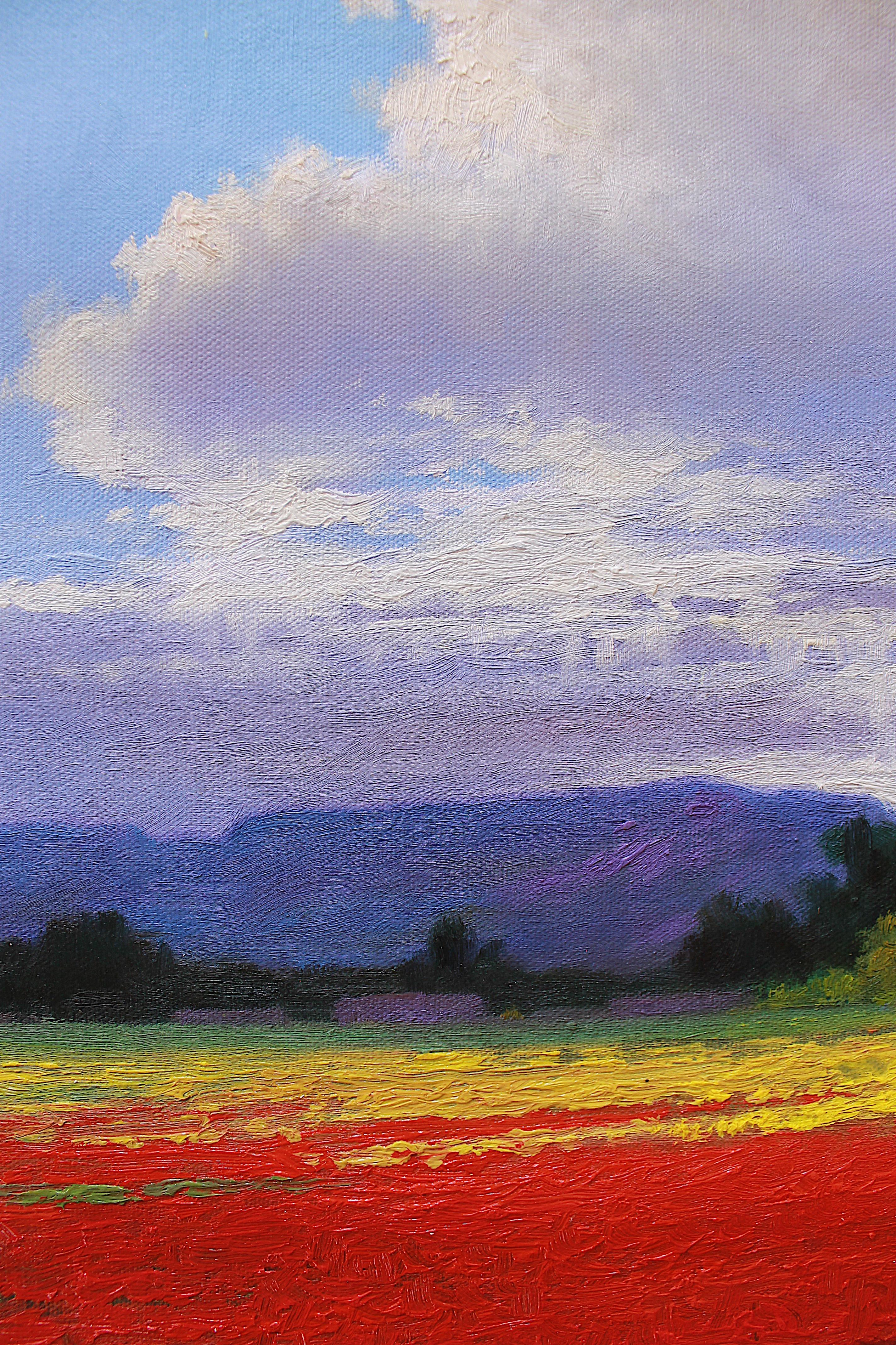 Field and sky - Original oil painting - Impressionist - Painting by Sonco Carrasco