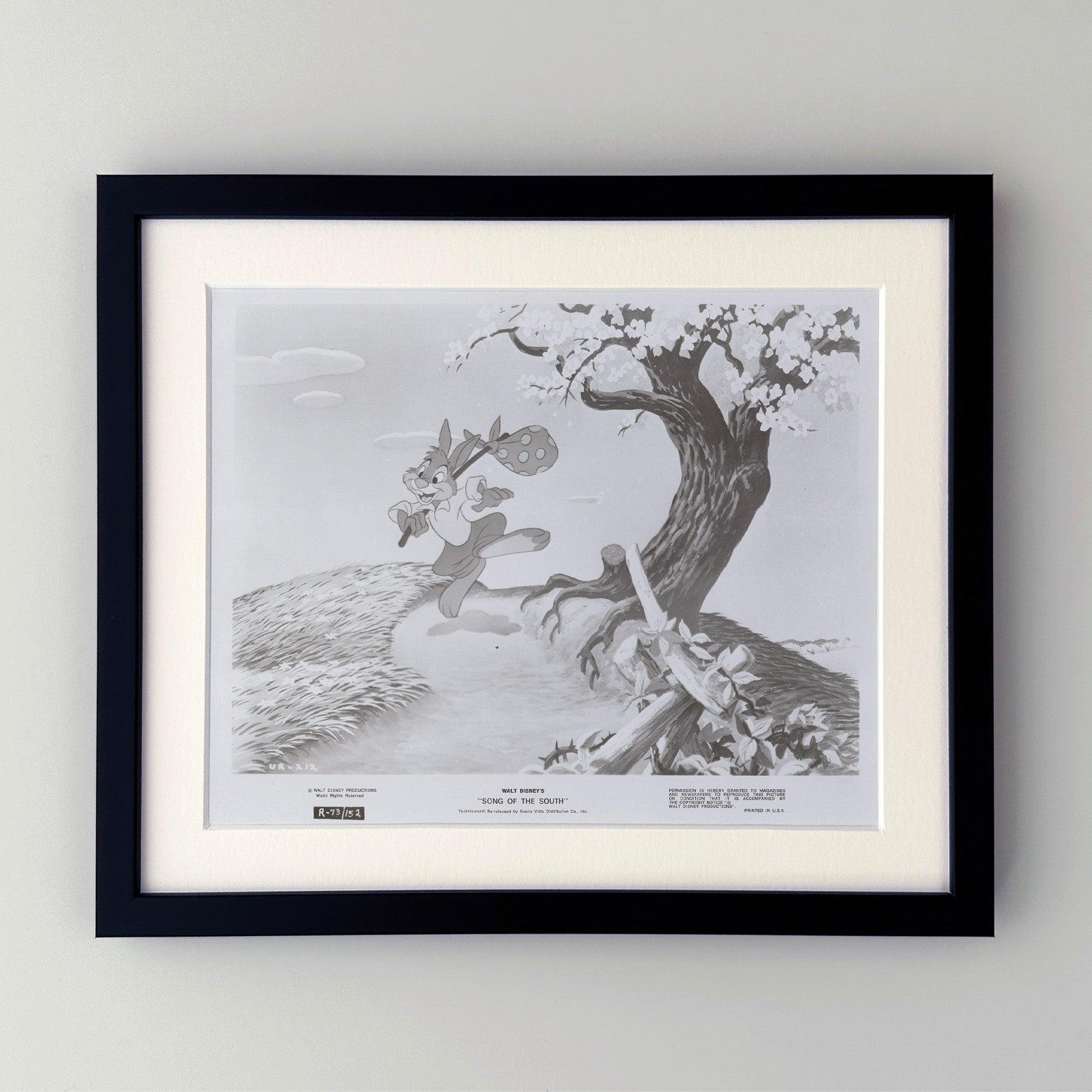 Foto pubblicitaria originale 8x10 pollici per Song of the South (1946) con James Baskett, Ruth Warrick e Bobby Driscoll e diretto da Harve Foster e Wilfred Jackson.

Le foto pubblicitarie (film/produzione) sono state create per aiutare gli studios a