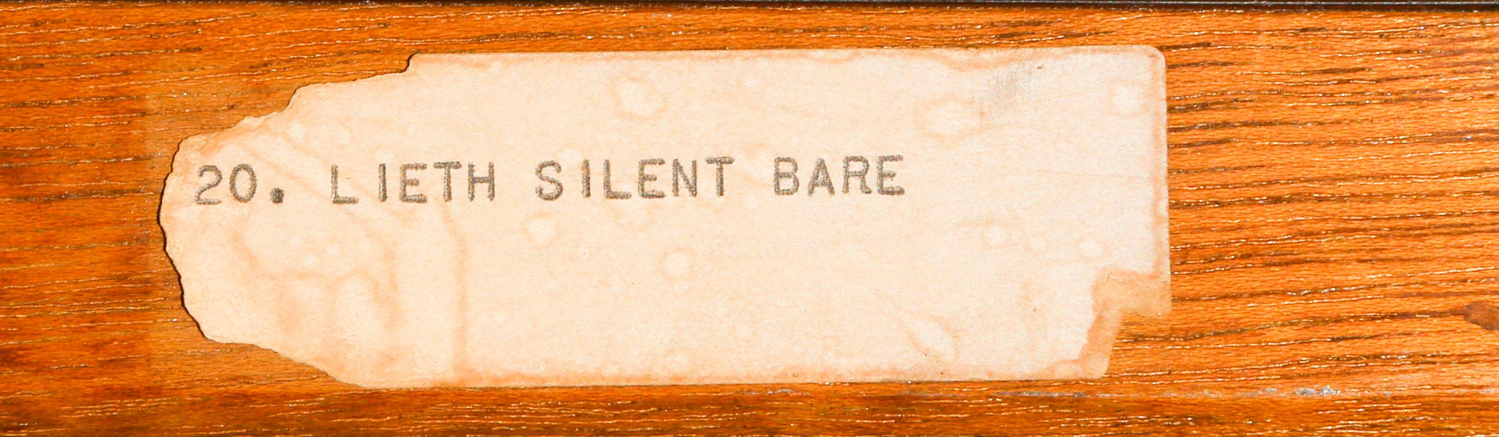 Leith Silent Bare, Pittura acrilica astratta su tela di Soni Wallace 2