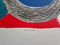 Sonia Delaunay -- Vol de nuit