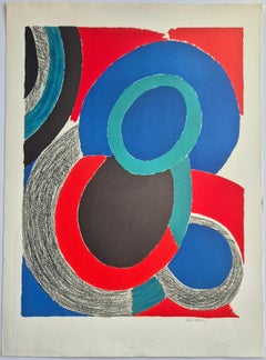Sonia Delaunay -- Vol de nuit