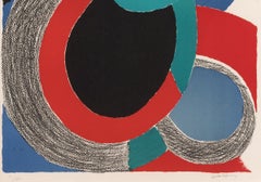 Flight Night Abstract Colorful Geometric Delaunay Orphism Cubism Optical Modern