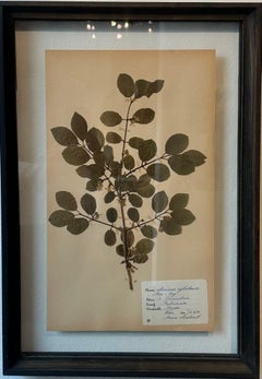 Técnica mixta