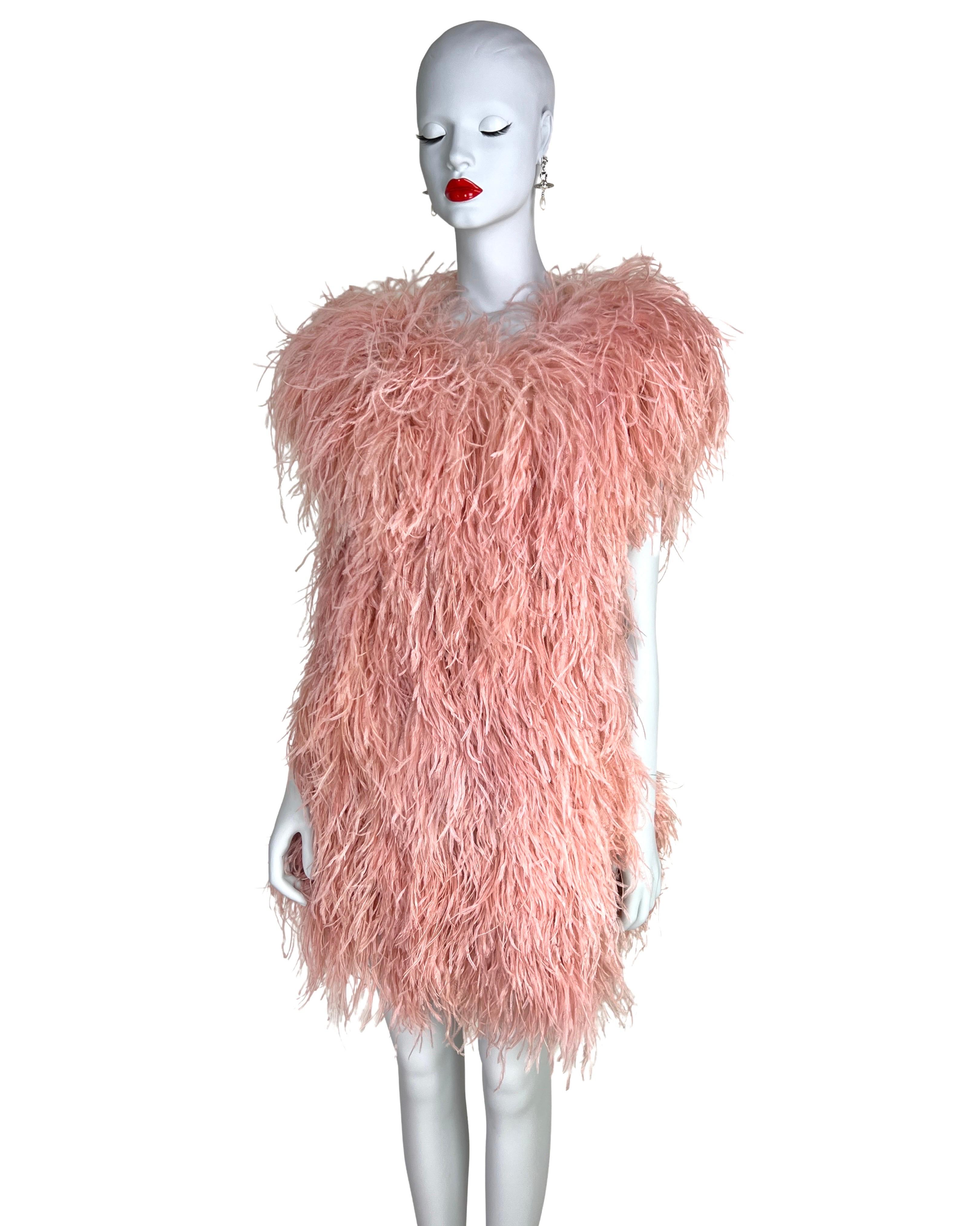 Sonia Rykiel Fall 2010 Ostrich Feather Dress In Excellent Condition For Sale In Prague, CZ