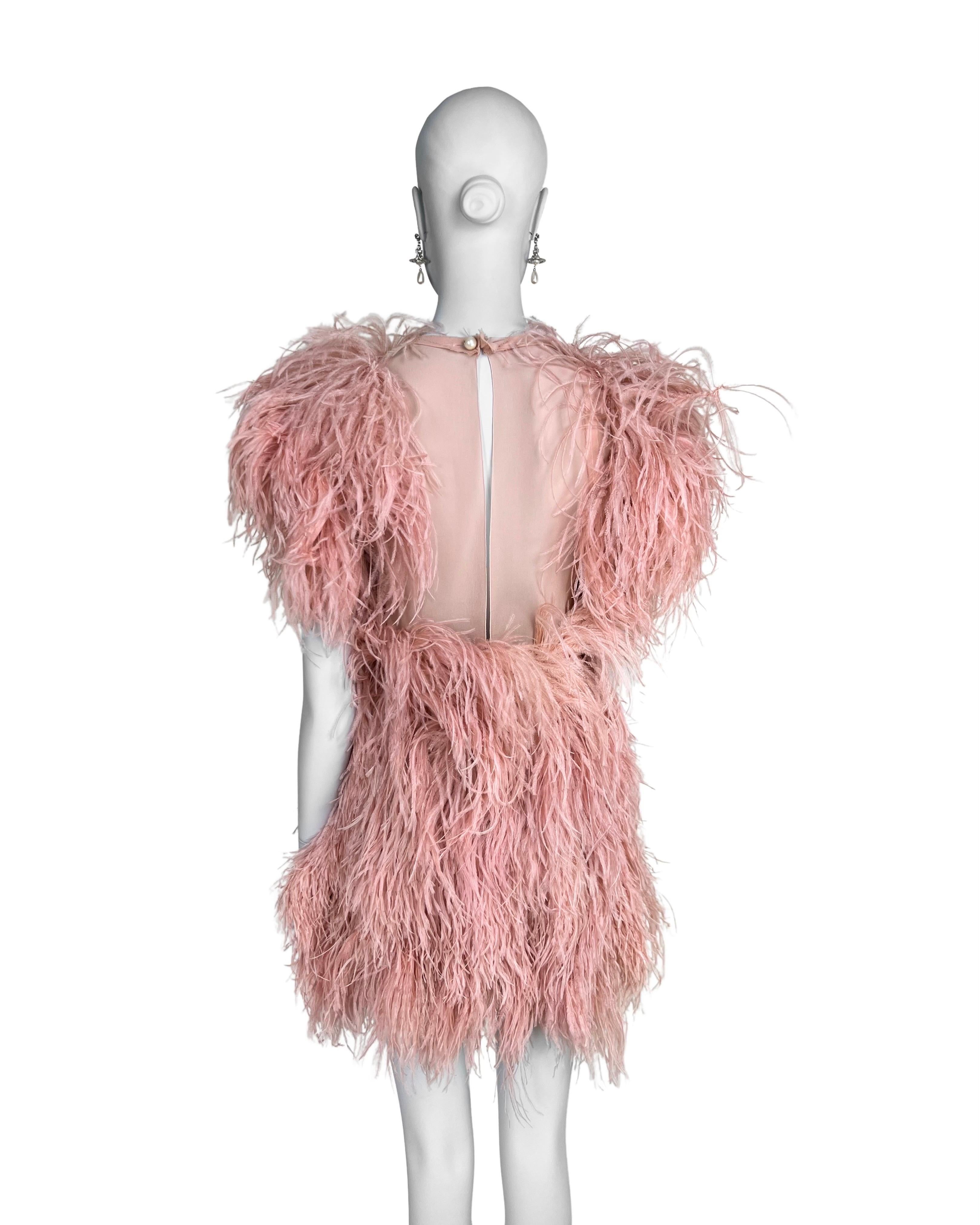 Sonia Rykiel Fall 2010 Ostrich Feather Dress For Sale 1