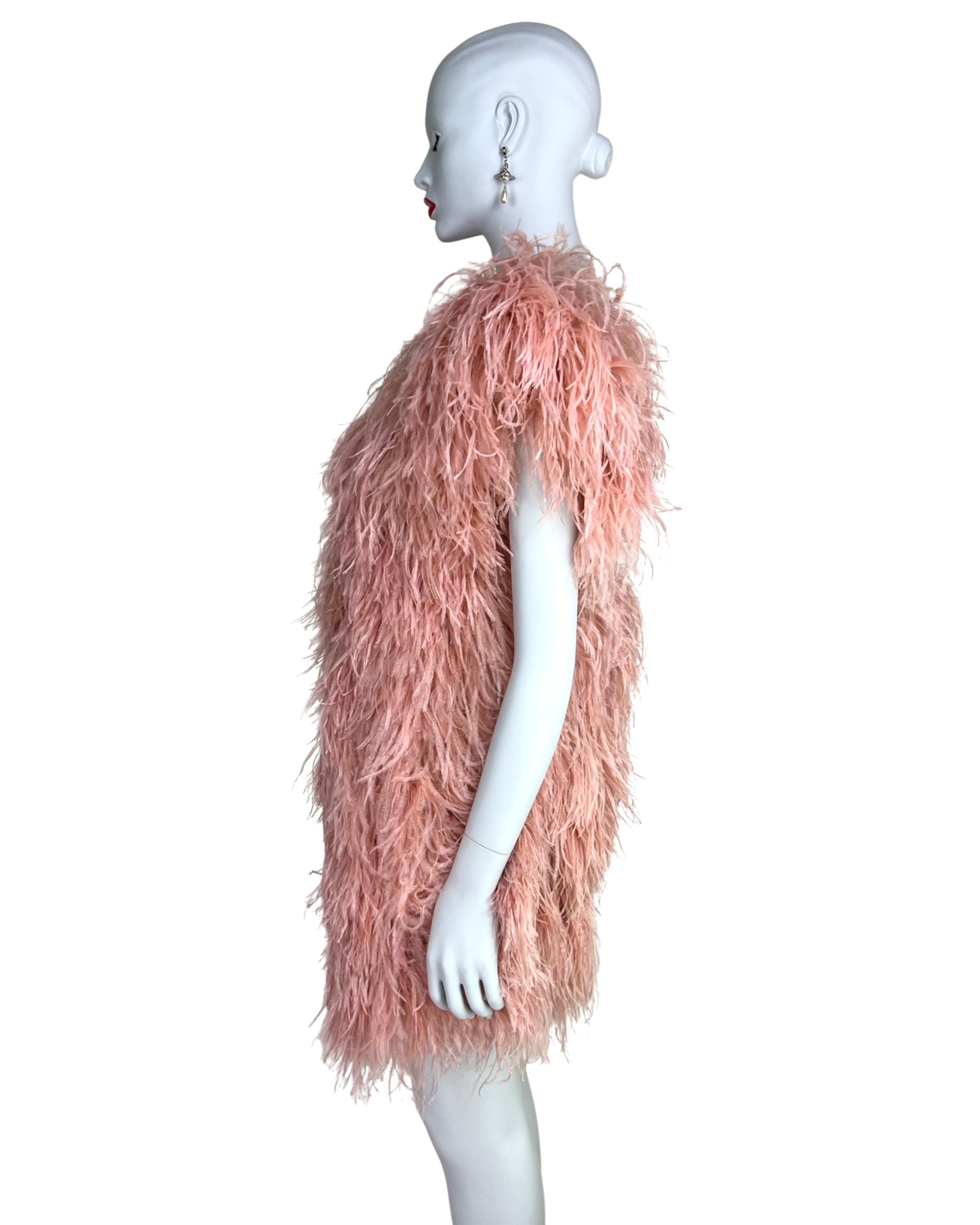 Sonia Rykiel - Robe en plumes d'autruche, automne 2010 en vente 1