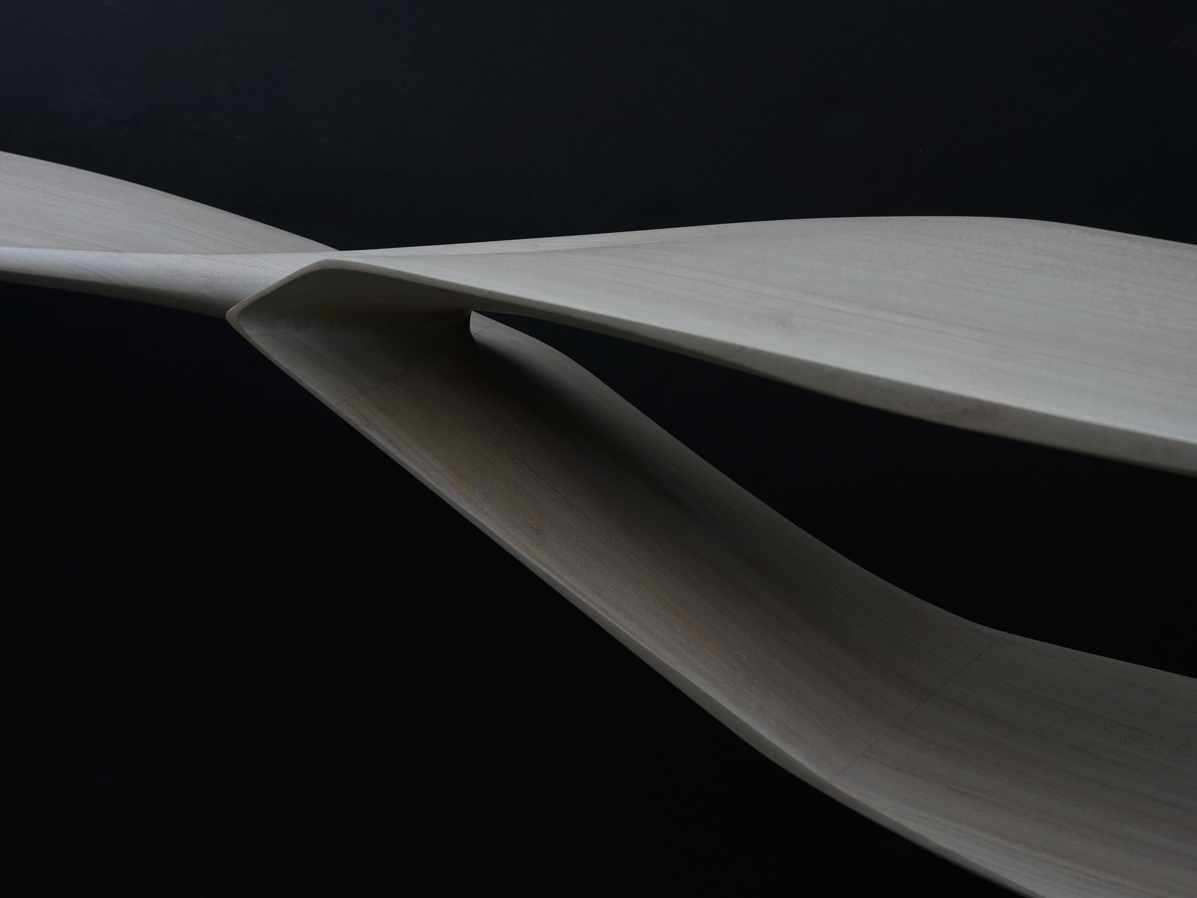 Bois Surfer, moderne, sculptural et organique, étagère en bois de sapele, disponible en 5 tons en vente