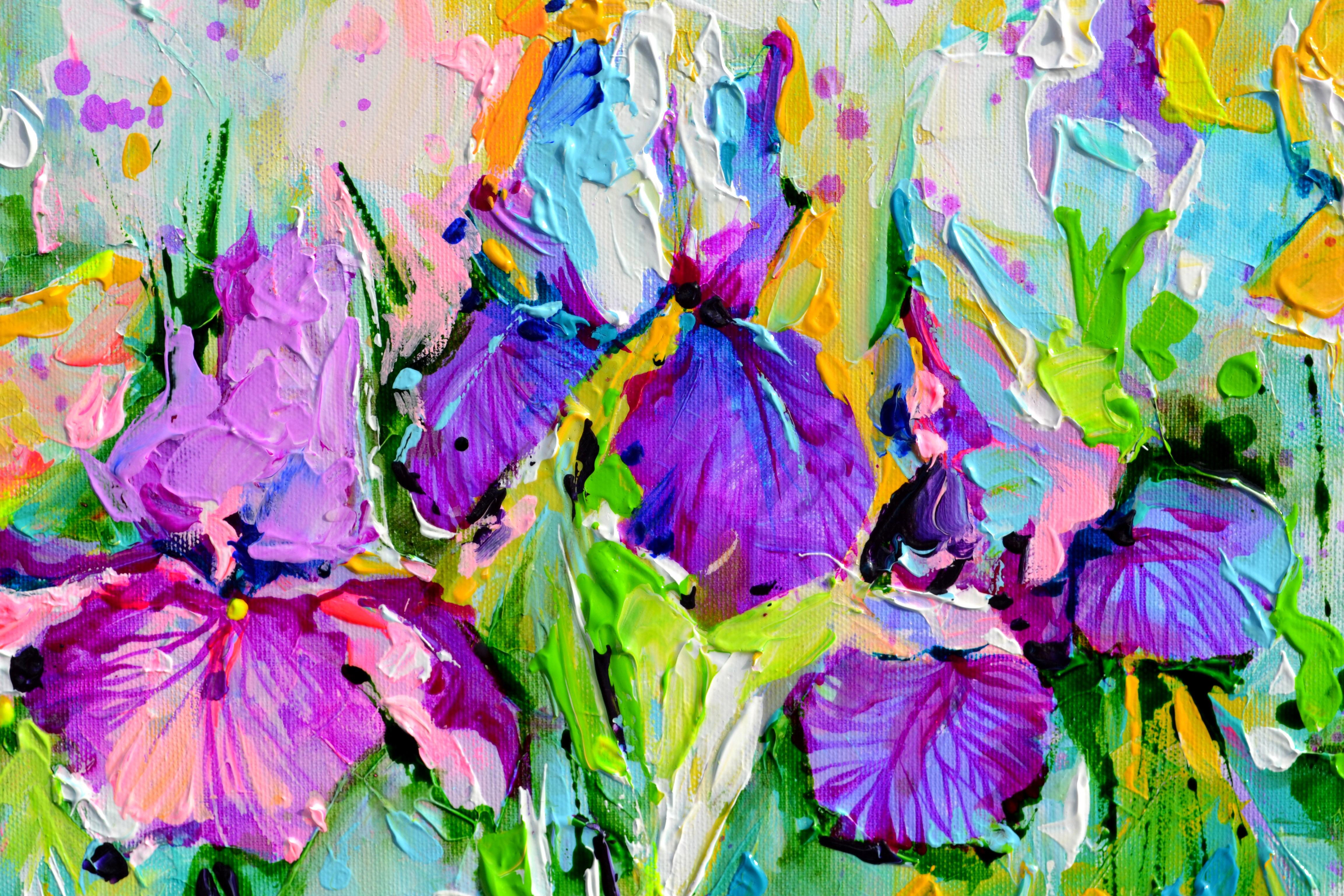 Campo di fiori di iris 1