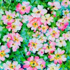 Campo de Rosas Silvestres Blancas y Rosas