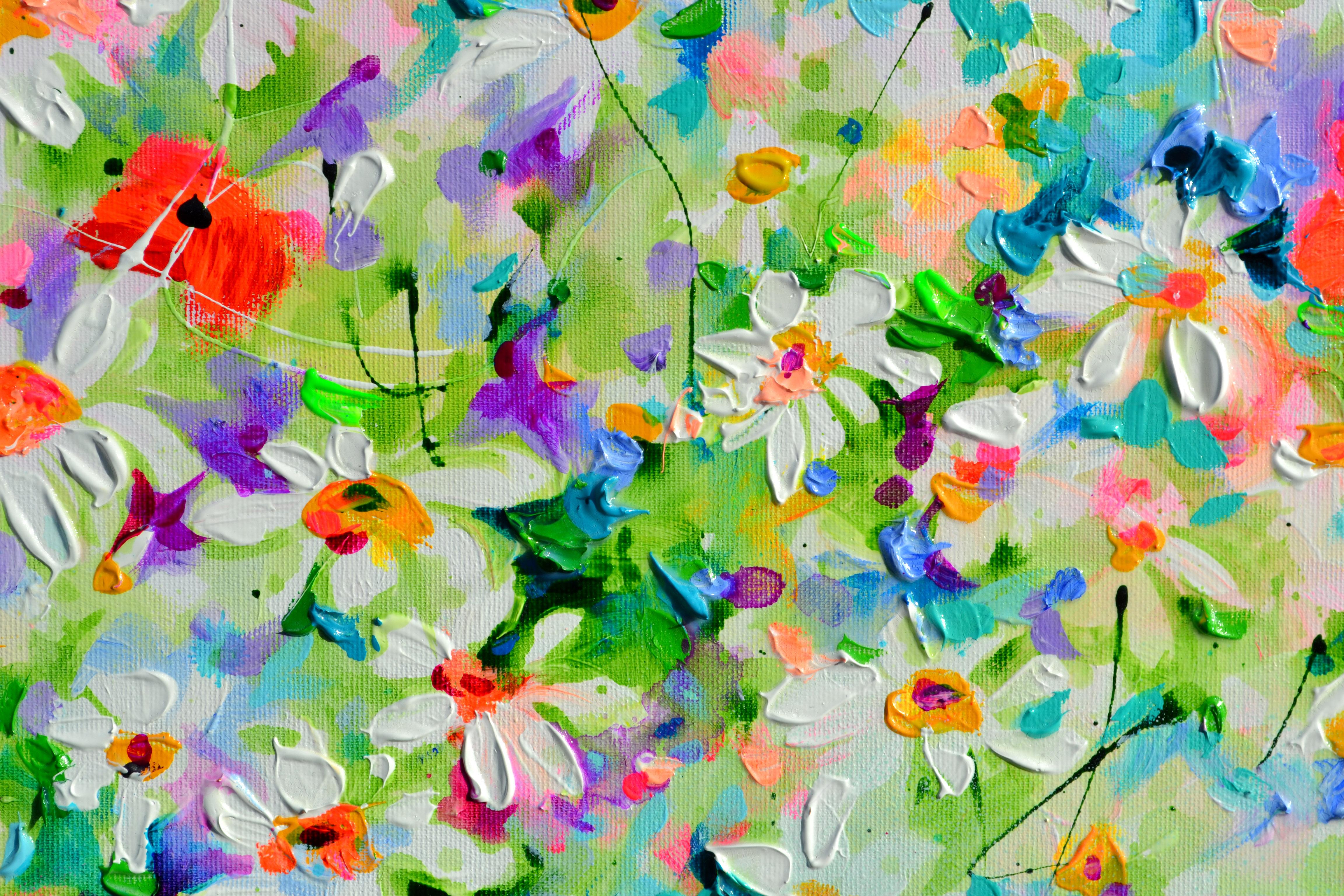 Weißes Gänseblümchen und rotes Mohnfeld im Angebot 7