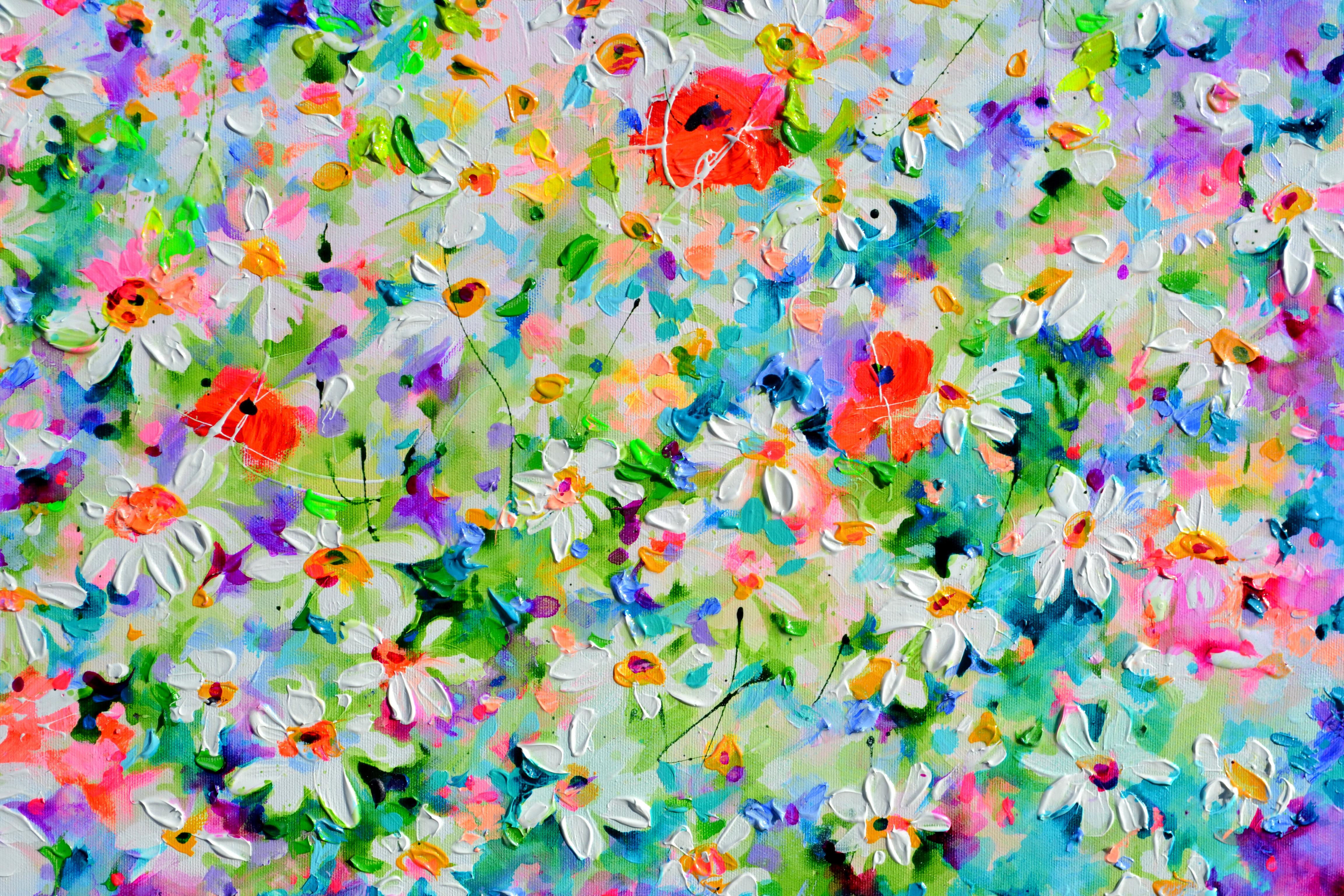 Weißes Gänseblümchen und rotes Mohnfeld im Angebot 1