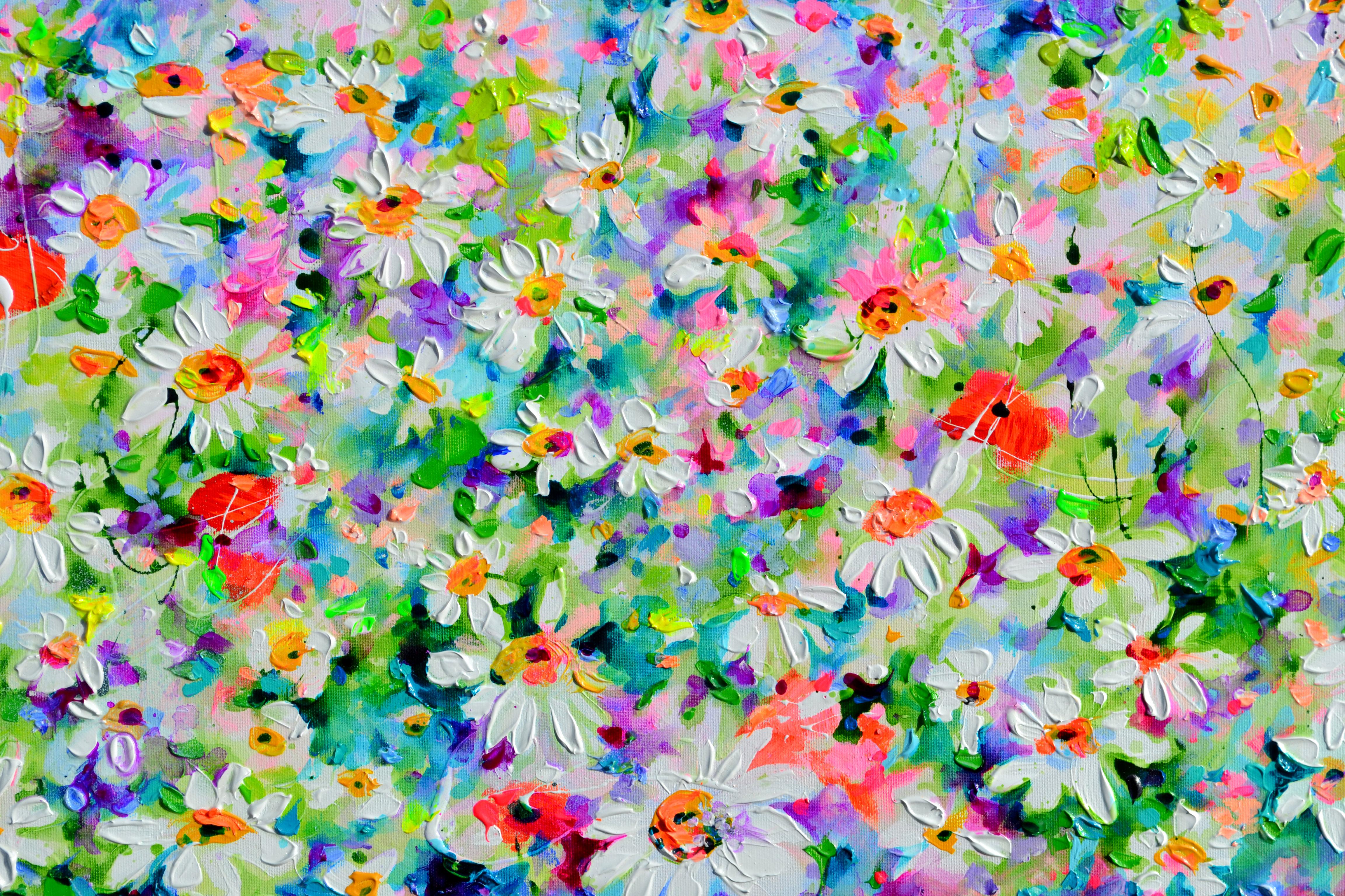 Weißes Gänseblümchen und rotes Mohnfeld im Angebot 2