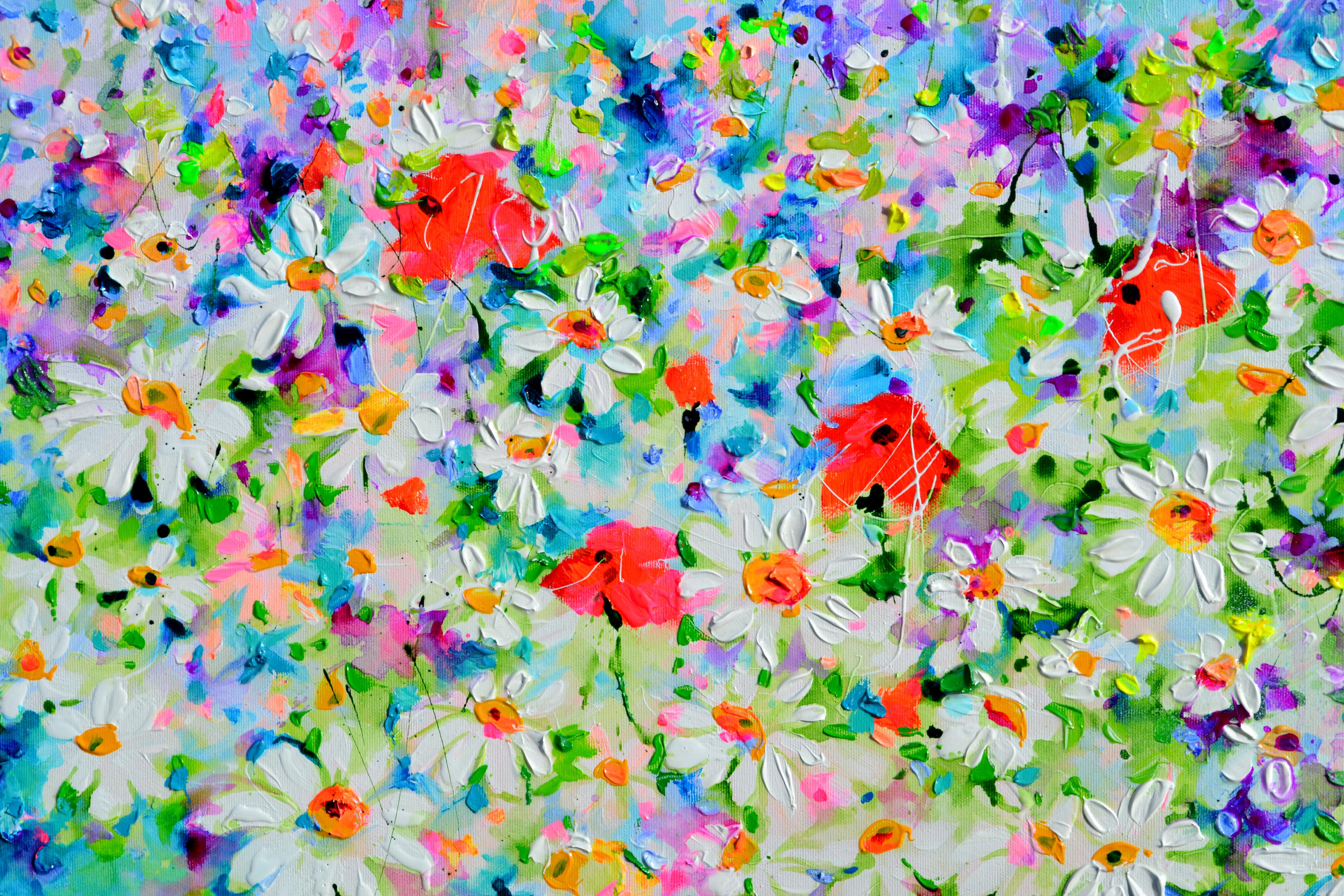 Weißes Gänseblümchen und rotes Mohnfeld im Angebot 3