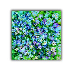 Wild Flower Field of Forget Me Not Flowers