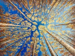 Heavens Canopy - original realism landscape oil painting-contemporary artwork