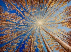 Heavens Canopy, original painting, landscape, contemporary