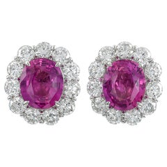 Sophia D. 5.06 Carats Pink Sapphire Earrings