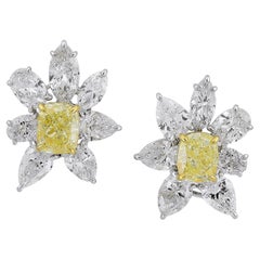 Sophia D 6,00 Karat Gelber Diamant und weißer Diamant-Cluster-Ohrringe