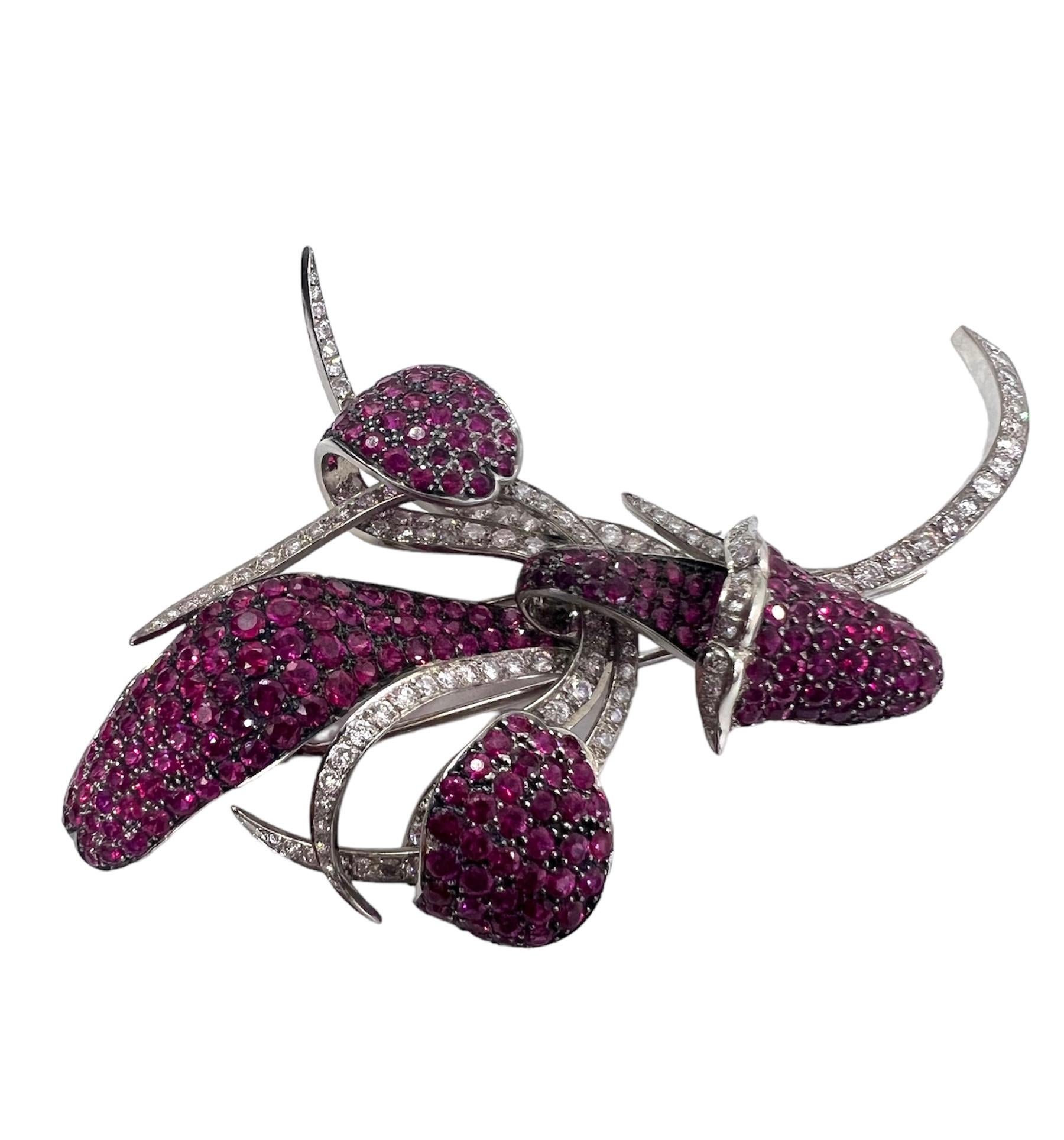 Designed by Sophia D, this platinum brooch is with 8.86 carat pink sapphire and 3.92 carat diamond.

Sophia D by Joseph Dardashti LTD has been known worldwide for 35 years and are inspired by classic Art Deco design that merges with modern
