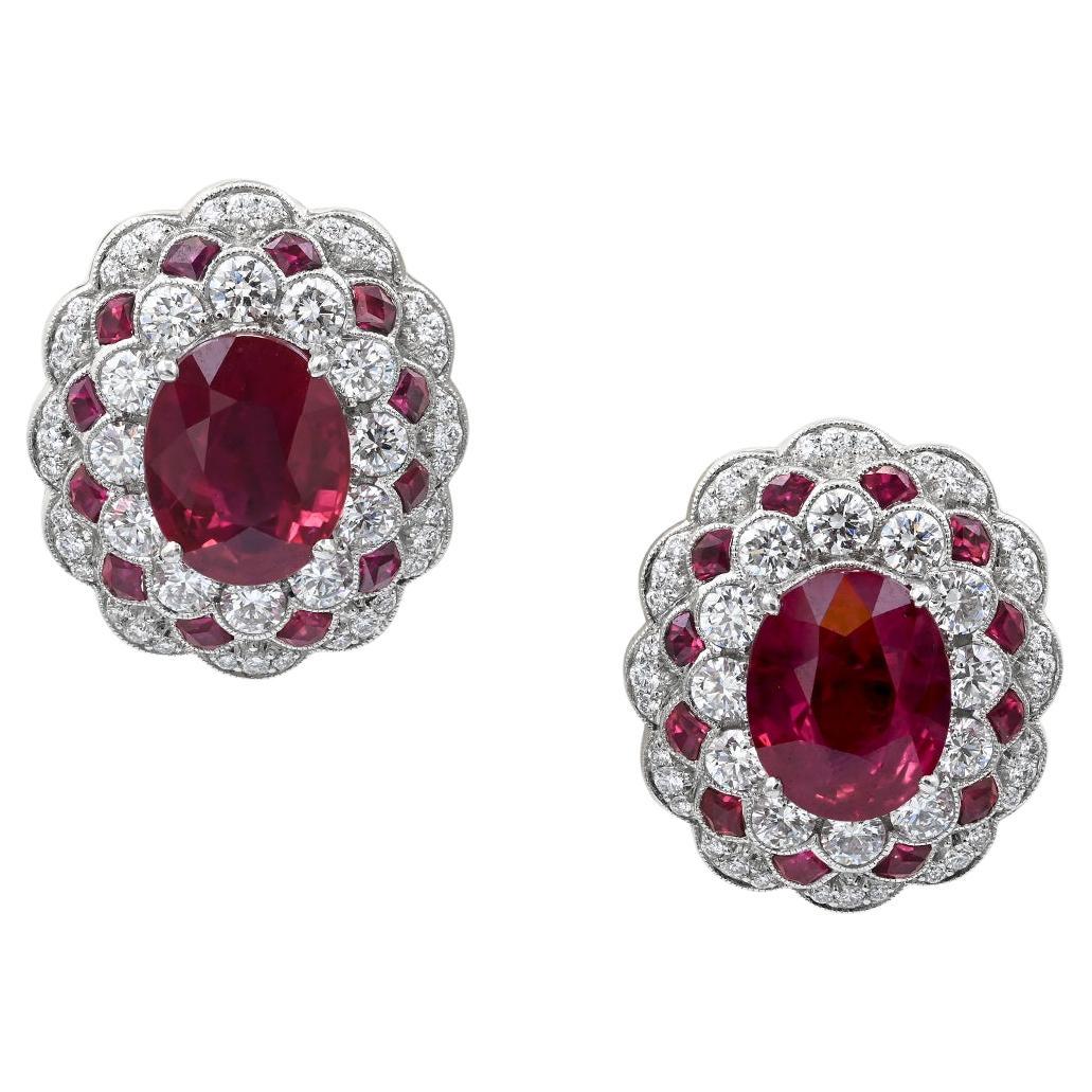 Sophia D. Ruby and Diamond Earrings