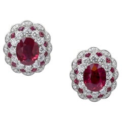 Sophia D. Ruby and Diamond Earrings