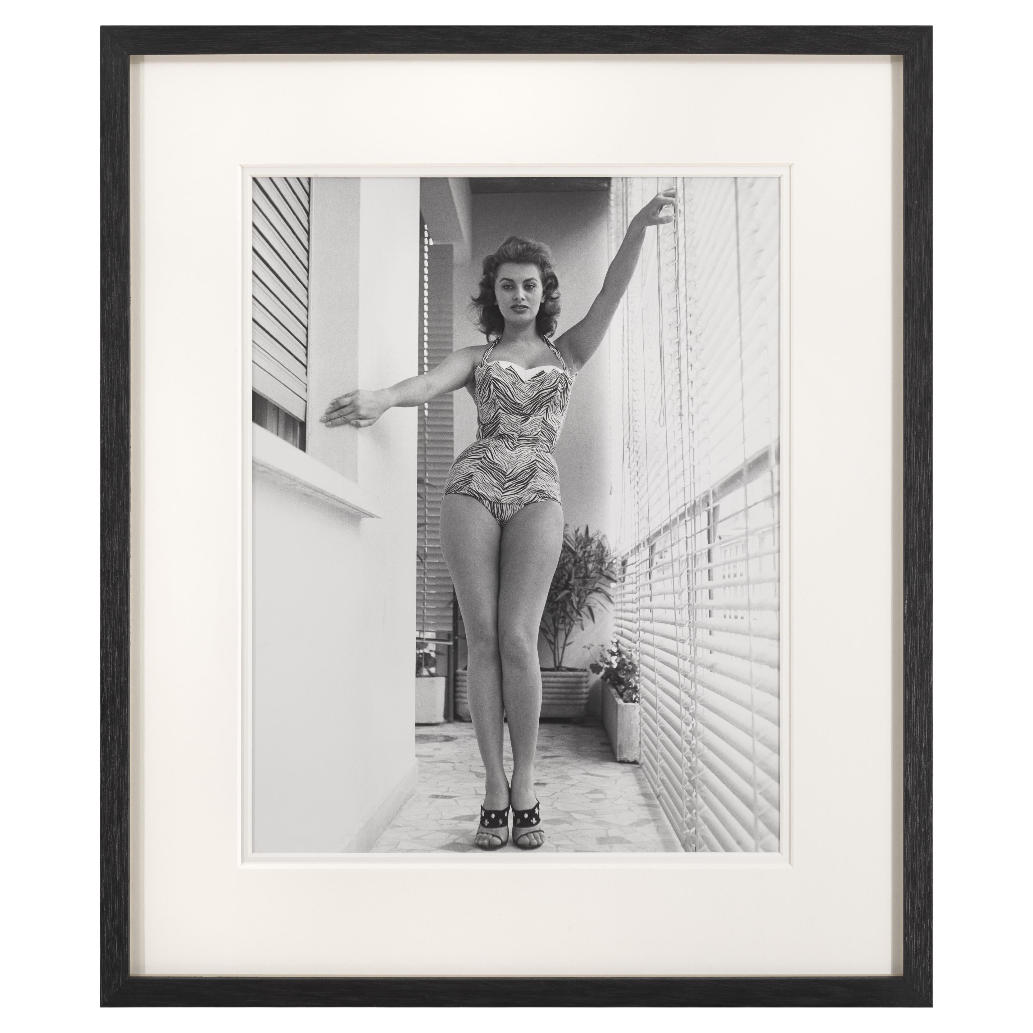 Sophia Loren in vendita