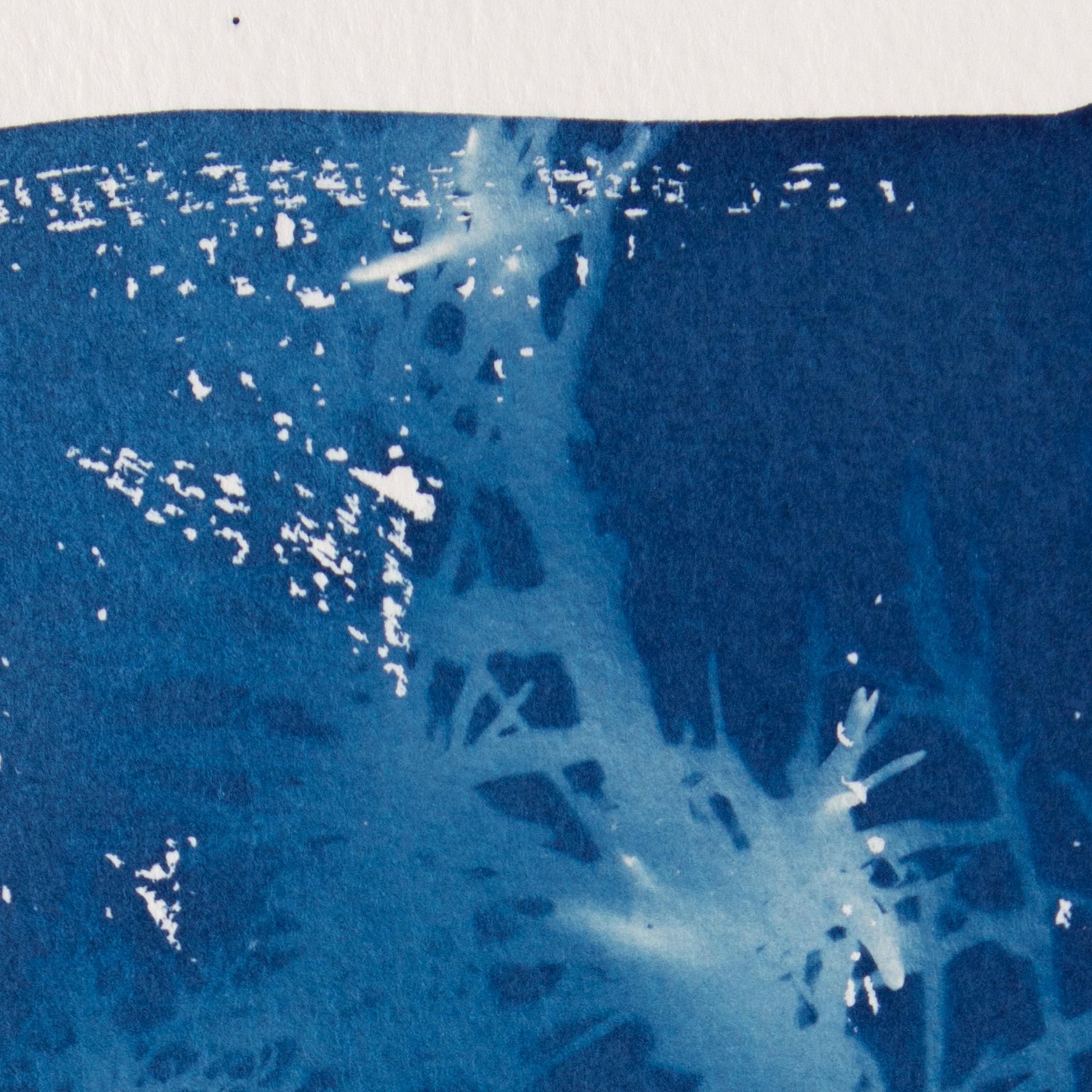 'Acantilado Perfumado'. Disegno storico botanico, concettuale di paesaggio spagnolo - Painting Naturalismo di Sophia Milligan