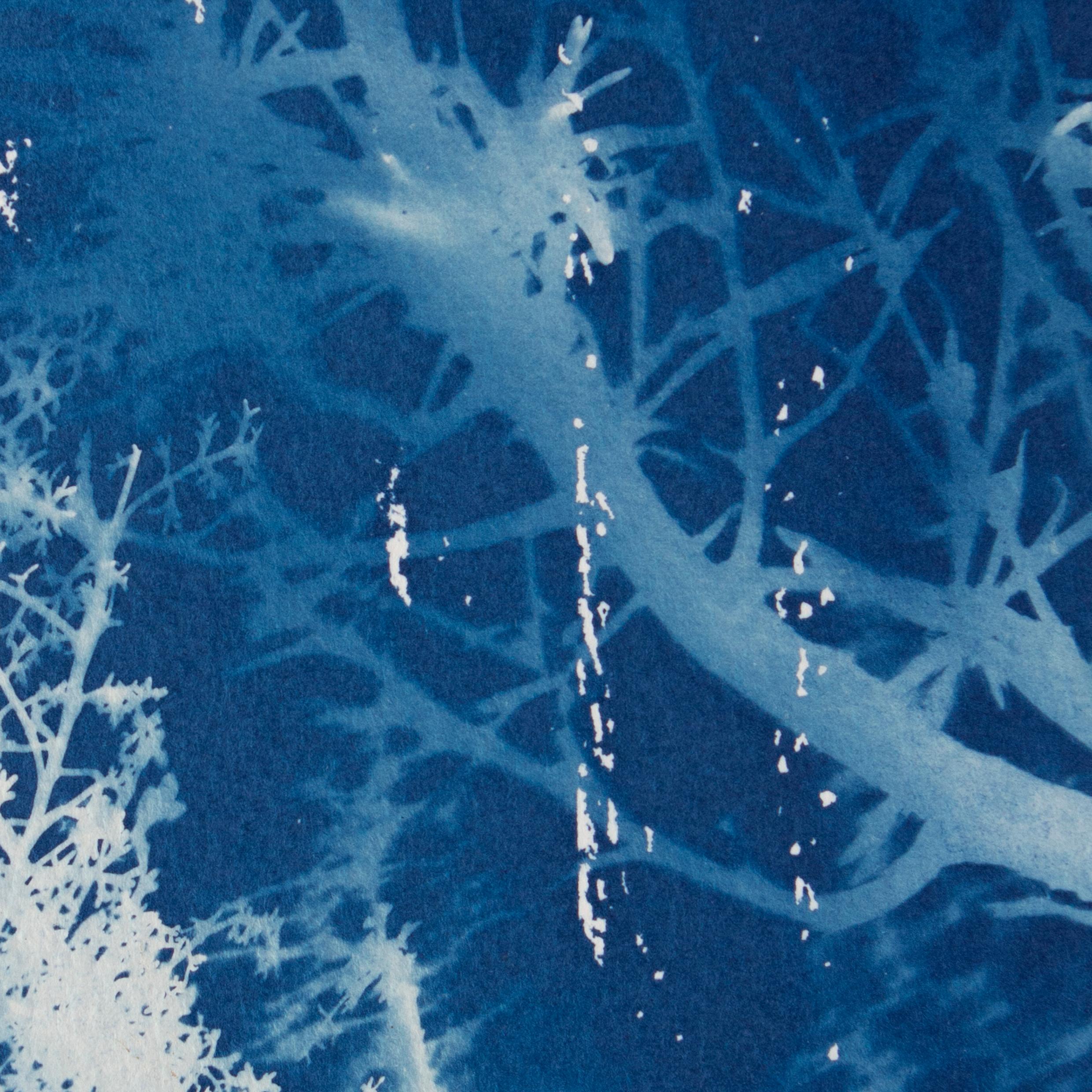 „Acantilado Perfumado“. botanische historische, konzeptionelle spanische Landschaftszeichnung im botanischen Stil (Blau), Landscape Art, von Sophia Milligan