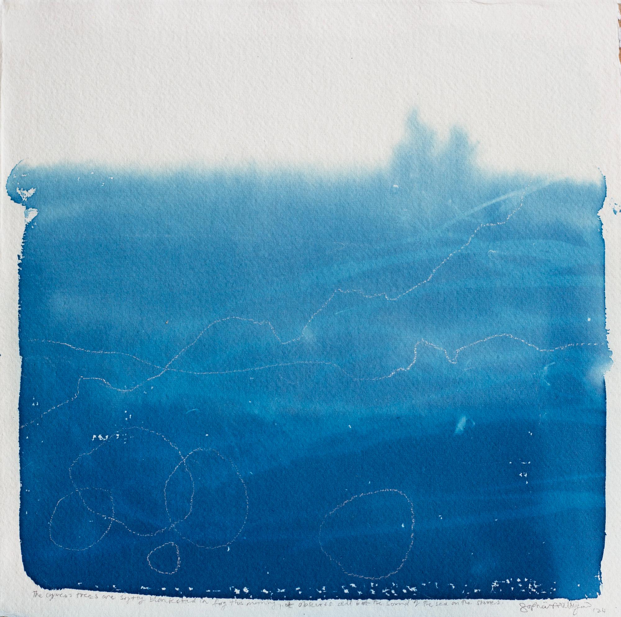 Cipresso, Nebbia'. Blue white shore oceano spiaggia alberi disegno minimalista Nature
