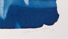 Comme les oies sauvages, vous avez volé. cyanotype bleu et blanc