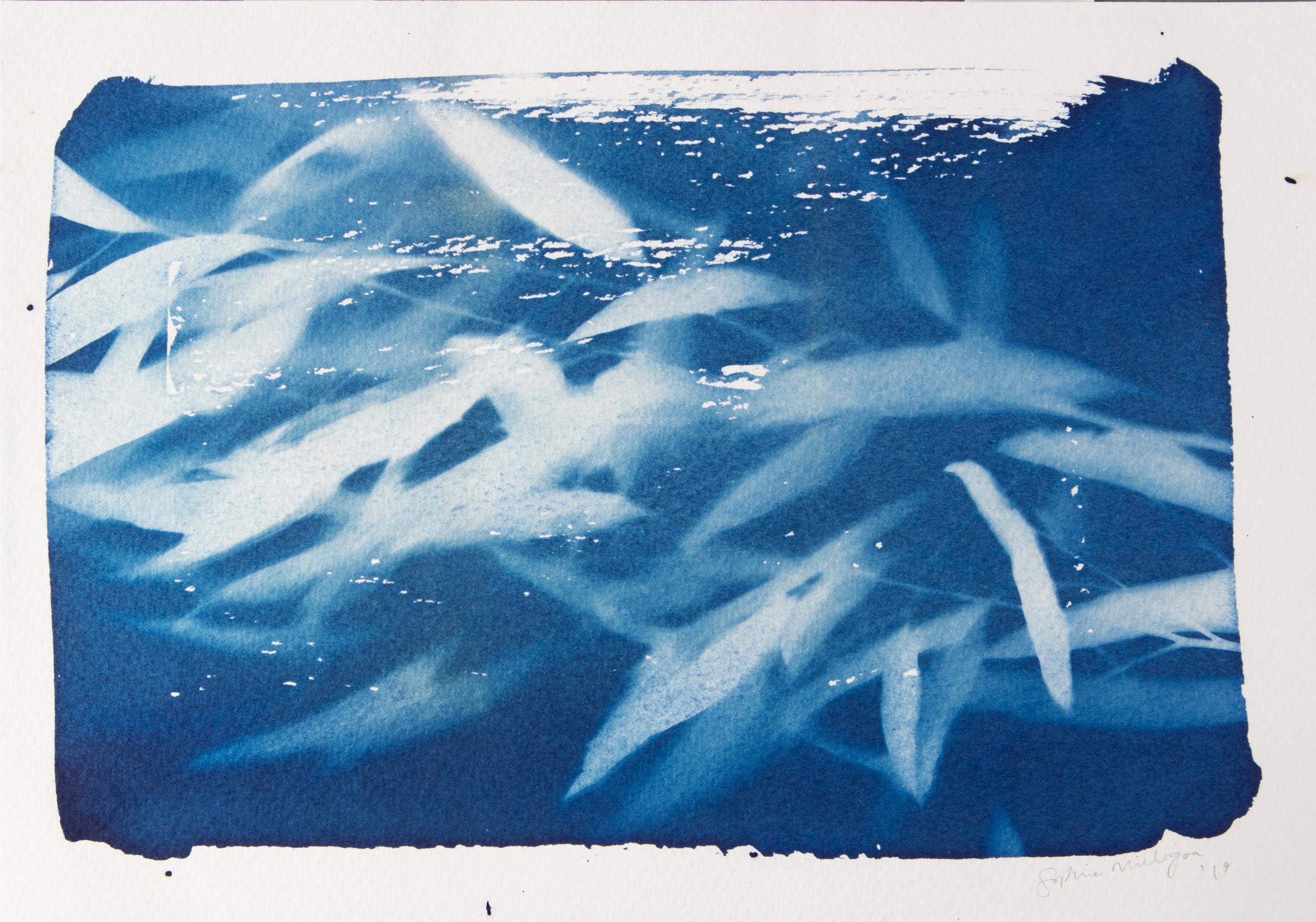 'Come le oche selvatiche che hai volato'. Blu Whiting Cianotipo