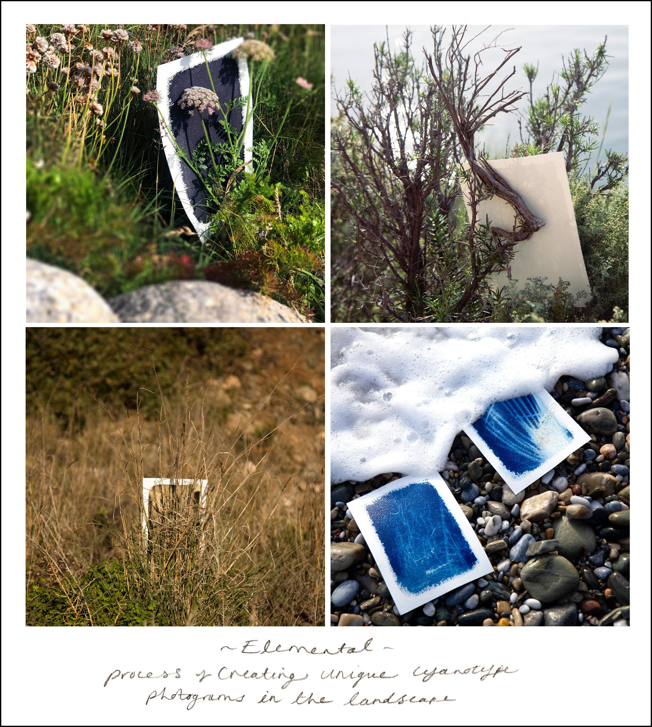 « Nine Settlement Valley ». Minimal Abstract Botanical Nature Bambou Bleu Blanc en vente 3